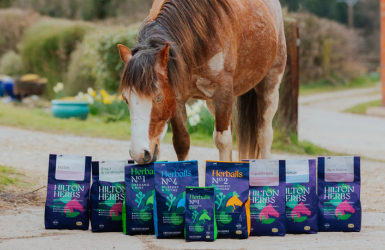 Nouveautés HILTON HERBS